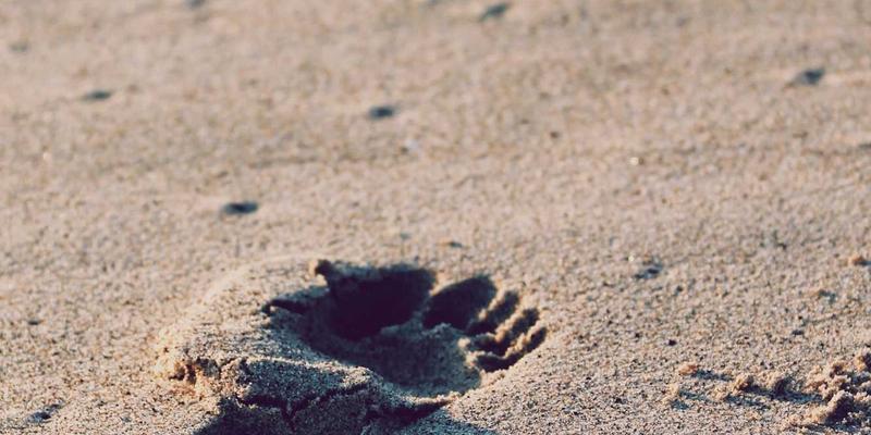 从厨房新手到料理达人:12个改变烹饪体验的核心技巧