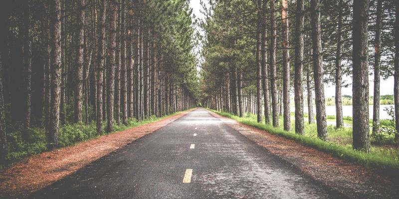 从厨房新手到美食达人：5个必学的烹饪技巧与美食创作指南