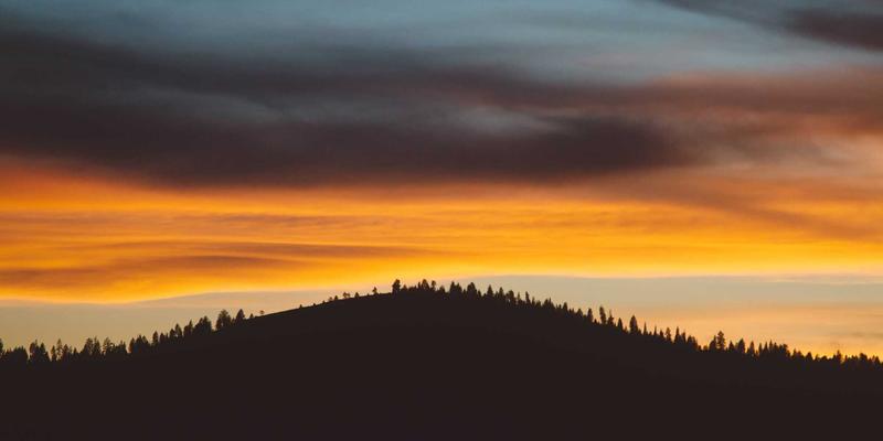 低成本营养餐：每月预算有限的家庭健康饮食方案 | 烹饪技巧与美食制作指南