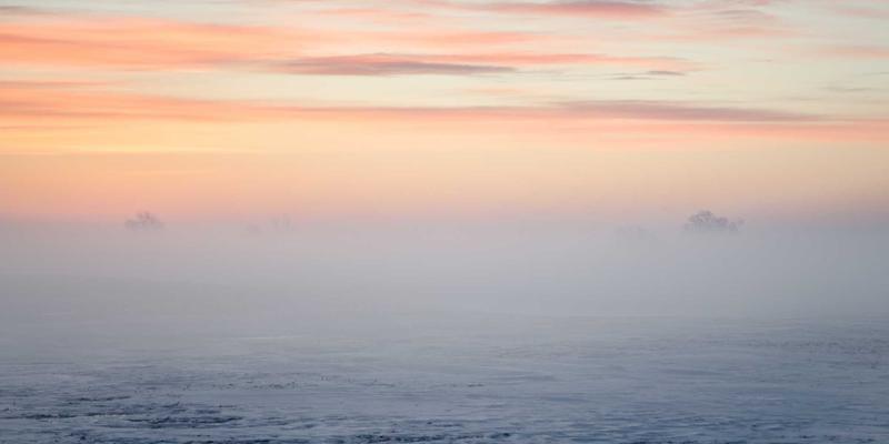 家常菜烹饪指南：一周不重样的便当盒美学与健康食谱