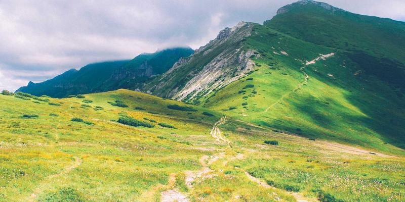家常菜烹饪指南：用美食点亮平凡日常的23道灵感
