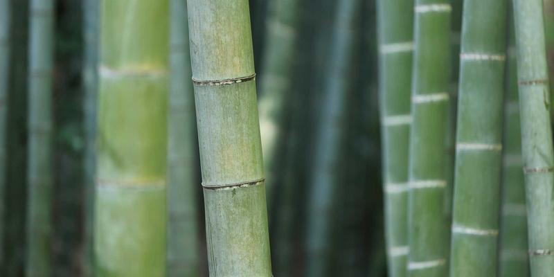 家常菜谱21：三道经典美食制作指南，让厨房小白秒变大厨