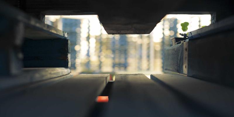 家常菜谱94：掌握3个核心烹饪技巧，让普通食材焕发惊艳滋味