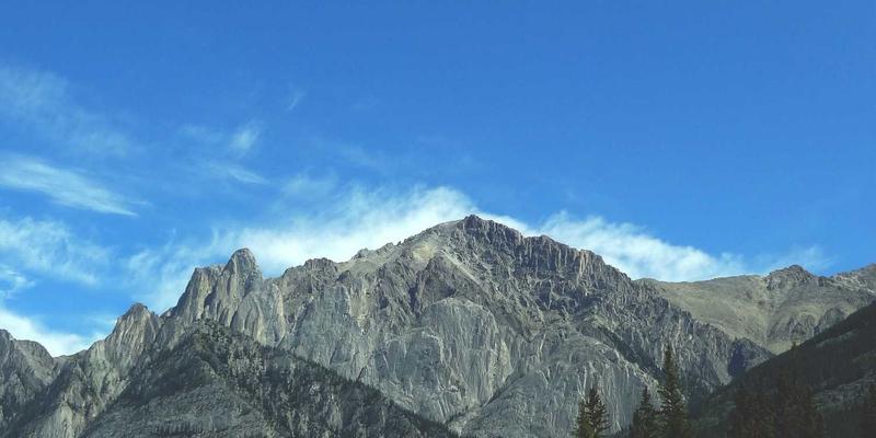 家常菜谱深度评测:从新手到高手的料理进化指南