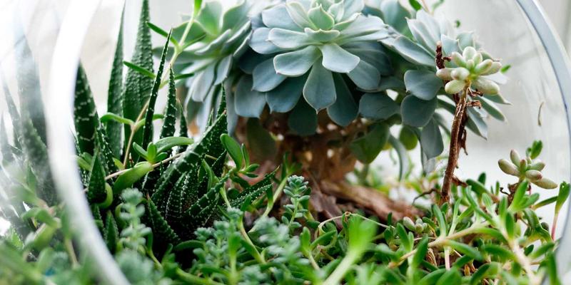 家庭必学菜谱43：一学就会的经典家常料理，轻松搞定一日三餐