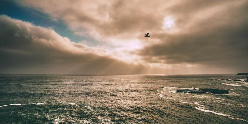料理的艺术与科学:解锁菜谱93背后的美食密码