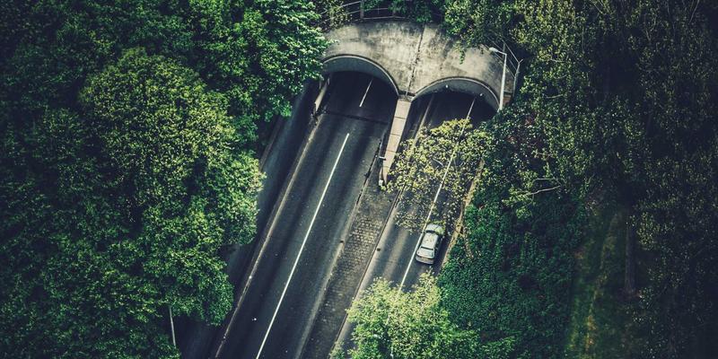 空气炸锅菜谱100道：从家常料理到创意美食的完整指南