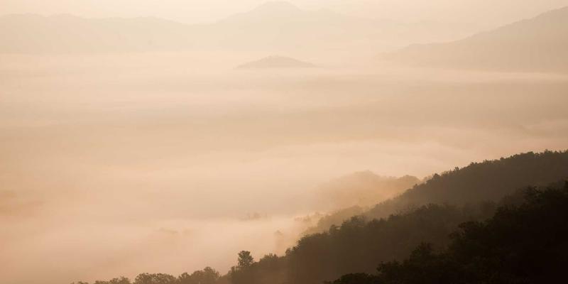 菜谱34：三道经典家常菜，唤醒日常餐桌的美食记忆