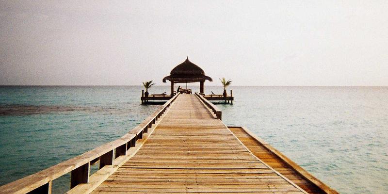 菜谱41:从厨房新手到美食达人的烹饪指南