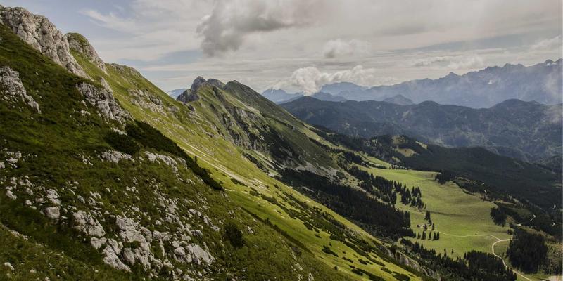 菜谱44:唤醒味蕾的艺术,探索美食制作的无限可能