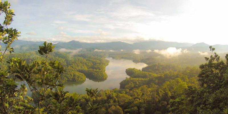 菜谱61:从厨房新手到烹饪高手的进阶指南 | 三大核心技巧揭秘
