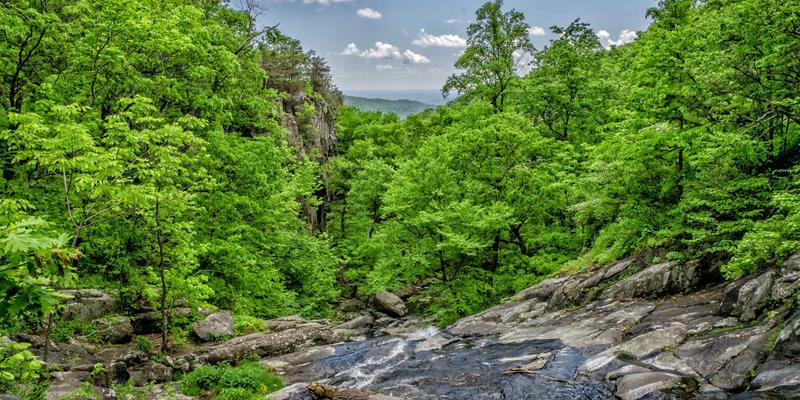 菜谱78：从零到一的家常菜烹饪指南，轻松掌握料理精髓