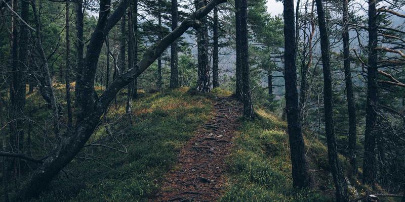 菜谱92:三道经典家常菜的烹饪指南,让日常美食充满仪式感