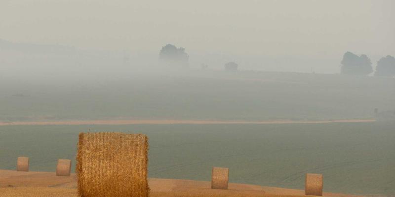 菜谱怎么用?掌握这4个烹饪技巧,让料理新手秒变大厨