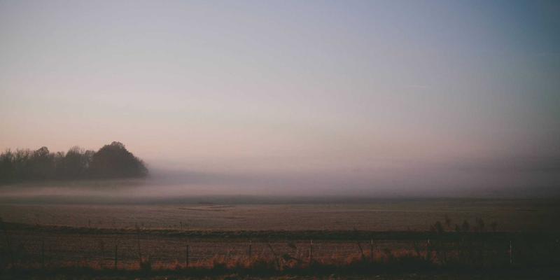 顺应天时的养生智慧：二十四节气美食烹饪指南与食疗调理方案